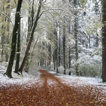 Obstgut Mit Herz Thomas Maier Apartman Stockach