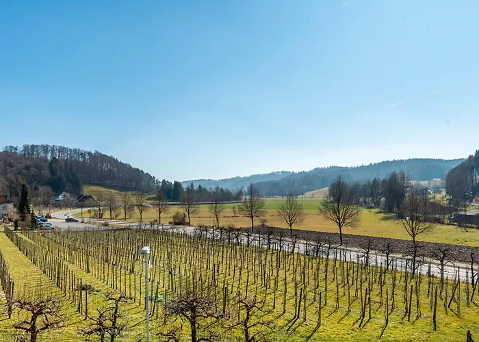 Obstgut Mit Herz Thomas Maier Stockach